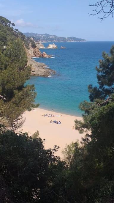 Alegre Apto Con Piscina, A 300M De La Playa. Blanes Extérieur photo