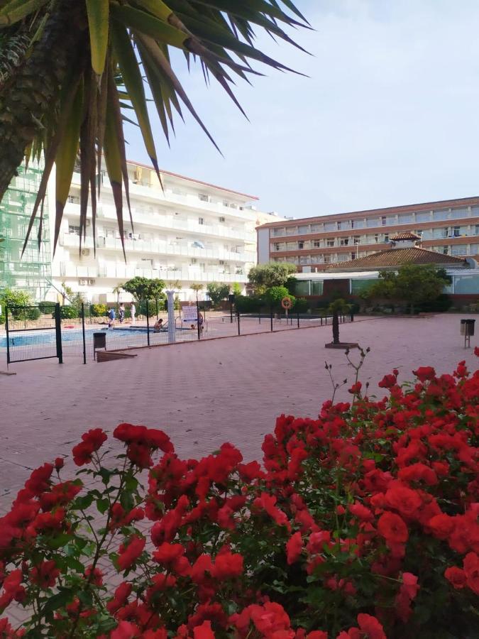 Alegre Apto Con Piscina, A 300M De La Playa. Blanes Extérieur photo